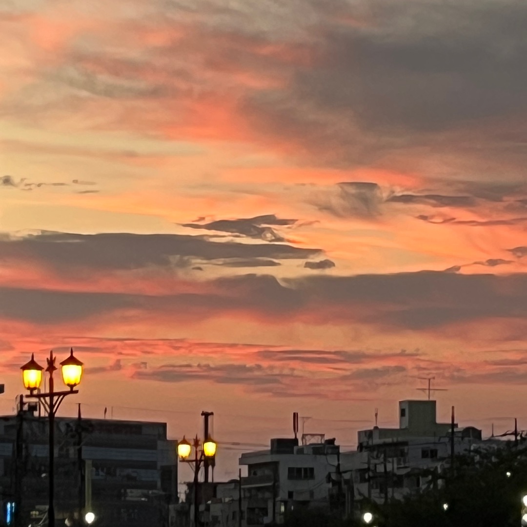 かまたの写真